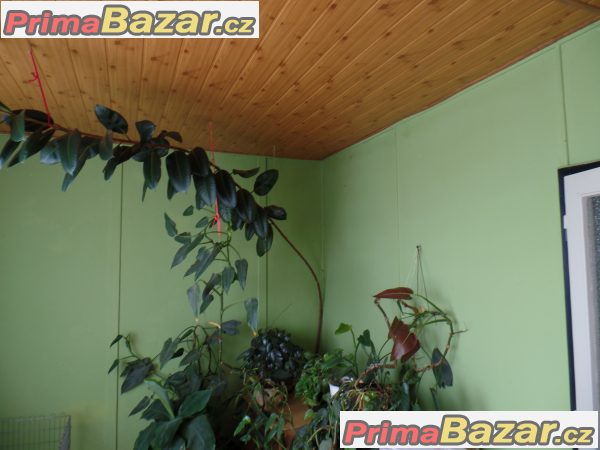 Prodej rodinného domu – fotografie 7