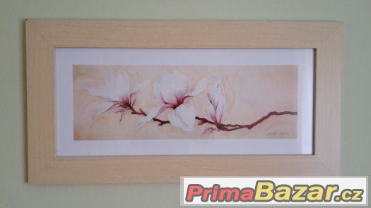 Obraz – fotografie 1