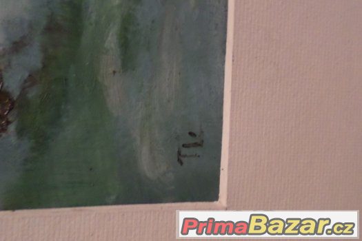 Obrazy – fotografie 5