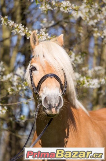 Super hafling do sportu – fotografie 1