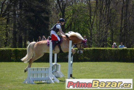 Super hafling do sportu – fotografie 2