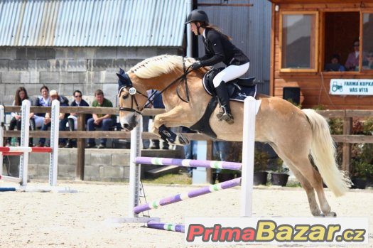 Super hafling do sportu – fotografie 4