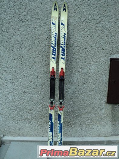 Lyže Variant Artis 350 – fotografie 1