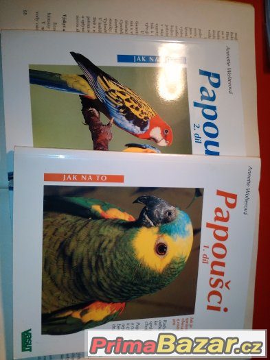 Chov papoušků – fotografie 1
