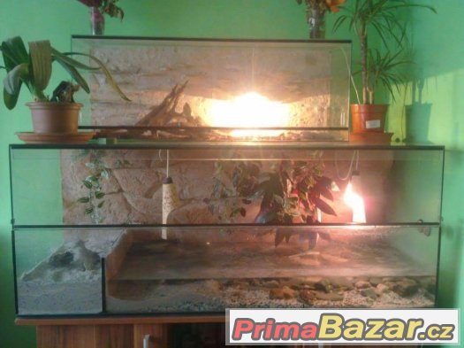 Velke terarium – fotografie 1