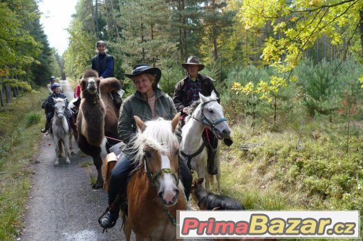 1.PŘÍRODNÍ JEZDECKÁ ŠKOLA - kURZY A VÝLETY NA KONÍCH – fotografie 4