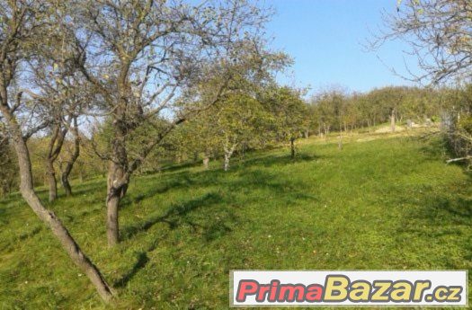 Stavební pozemek Židlochovice – fotografie 1