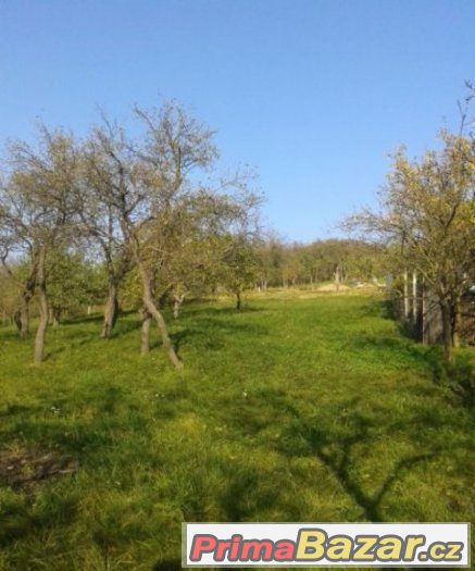 Stavební pozemek Židlochovice – fotografie 3