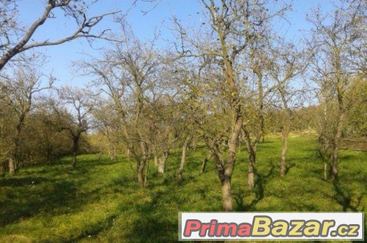 Stavební pozemek Židlochovice – fotografie 4
