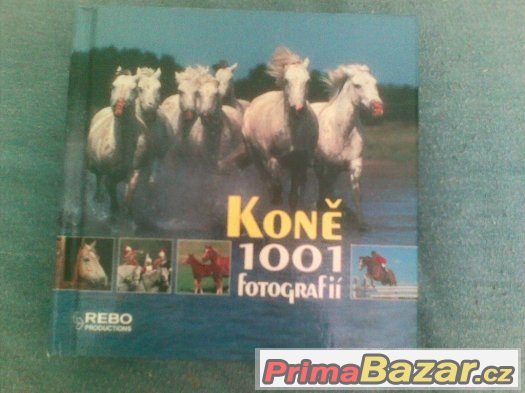 Knihy o koních – fotografie 3