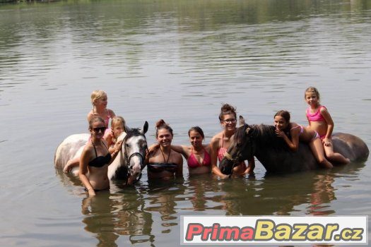 Příměstký tábor s koníkama a plavení s koníkama :) – fotografie 2