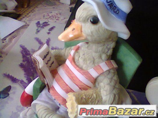 kacer Daryl Duck – fotografie 1
