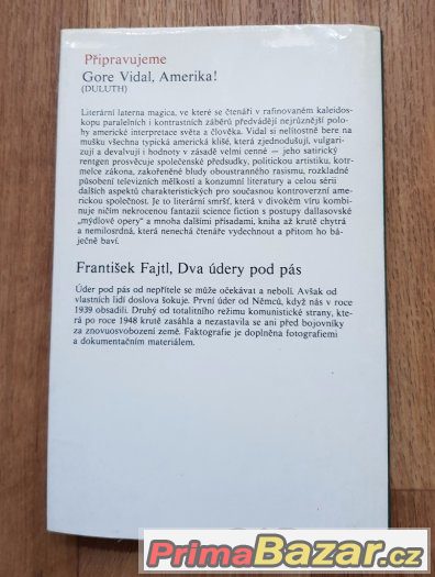 Prodám knihu Život a lásky jedné ďáblice – fotografie 4