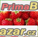 Jahodník malinový - sazenice – fotografie 1