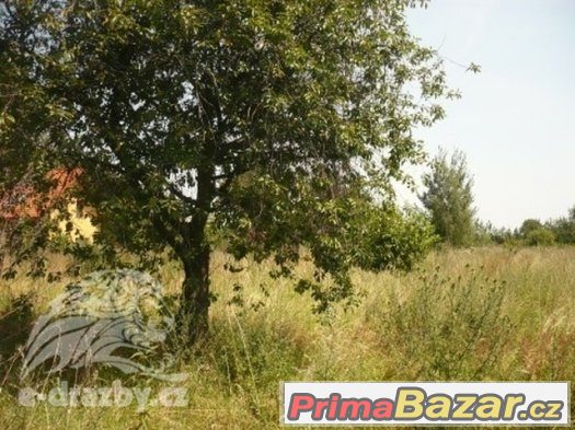 Pozemek 923,66 m2, včetně příjezdové cesty v obci Dolní Přím – fotografie 1