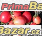 Rajče Thai ping egg - semena 11,- Kč – fotografie 1