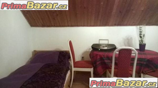 Pronájem zař. místn. v klidné plzeňské lokalitě – fotografie 2