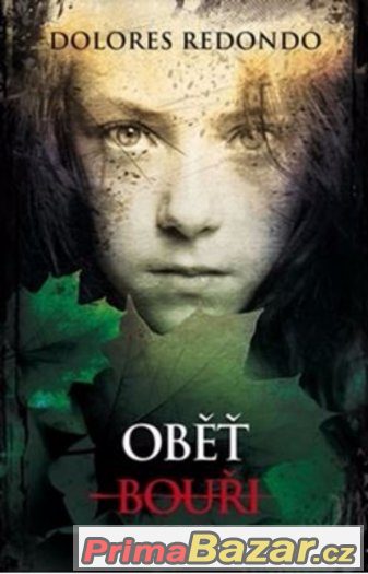 Oběť bouři – fotografie 1