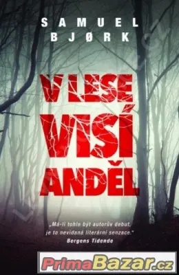 V lese visí anděl