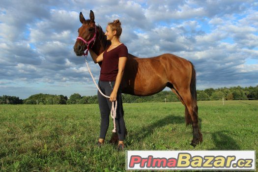 Barokní klisna – fotografie 1