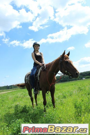 QH KLISNA 5let české i USA papíry – fotografie 2