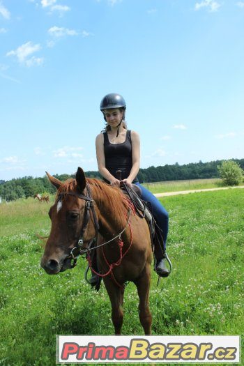 QH KLISNA 5let české i USA papíry – fotografie 4