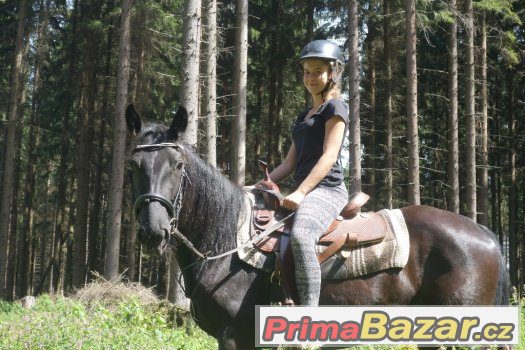 Klisna 5let ,50%appalosa,výška 155cm – fotografie 5