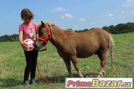 Valášek v typu minipony 90cm,4 roky – fotografie 1