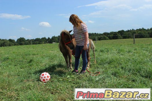 Valášek v typu minipony 90cm,4 roky – fotografie 4