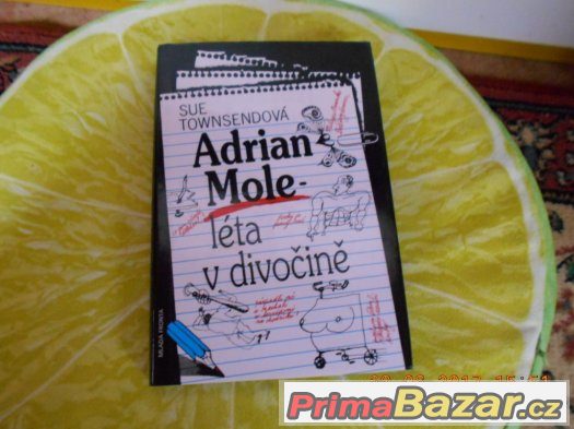 Knížka ADRIAN MOLE – fotografie 1