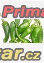 Chilli Pimiento de pardon - semena – fotografie 1