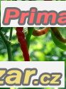 Chilli Indian Jwala - semena – fotografie 1