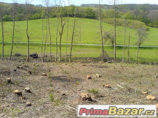 Osázený les - INVESTICE 16kč/m2 – fotografie 1