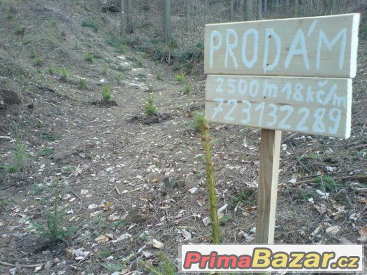 Osázený les - INVESTICE 17kč/m2 – fotografie 1