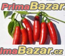 Chilli Serano Tampiqueno  - semena – fotografie 1