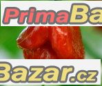 Chilli Trinidad Scorpion Red - semena – fotografie 1