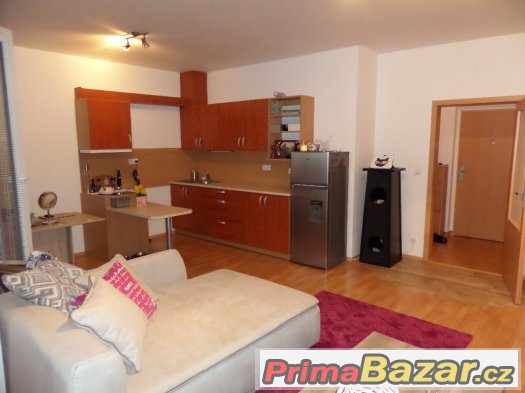 Pronájem bytu 1+kk,NOVOSTAVBA,terasa,Pardubice-Trnová – fotografie 4