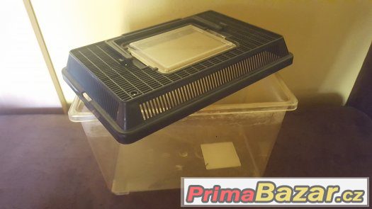 Přepravní box pro hlodavce – fotografie 3
