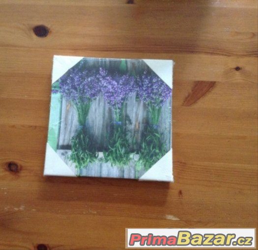 Obrázek levandule -novy (20x20cm) – fotografie 1