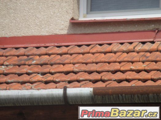 Křidlice dvoufalcovou-  prodám – fotografie 1