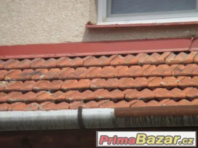 Křidlice dvoufalcovou-  prodám