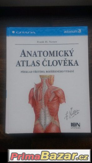 Netter - Anatomický atlas člověka – fotografie 1