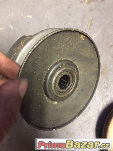 Variator gillera – fotografie 1