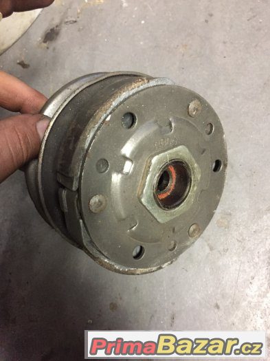 Variator gillera – fotografie 4