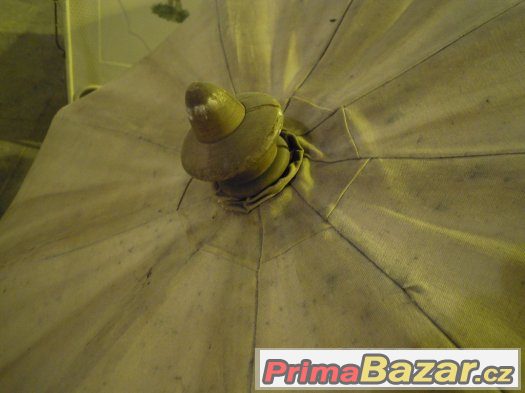slunečník 100let starý-prodej – fotografie 2