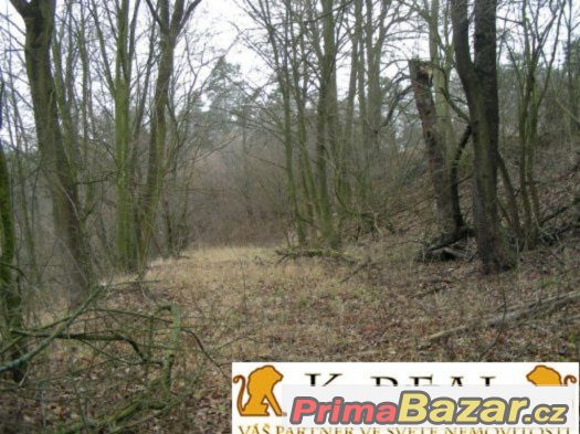 Prodej stavební pozemek Meziříčko, okr. Blansko – fotografie 2