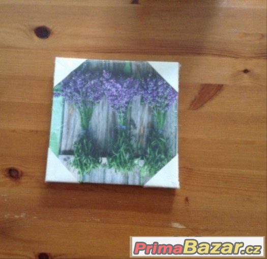 Obrázek levandule -novy (20x20cm) – fotografie 1