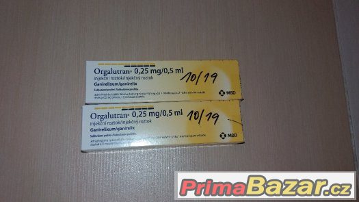 ORGALUTRAN – fotografie 1