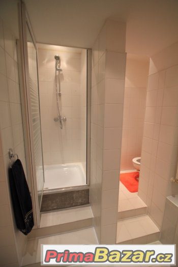 Pronájem bytu 2+kk,  54m2, Praha-2, Vinohrady – fotografie 3