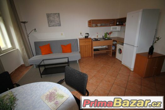 Pronájem bytu 2+kk,  54m2, Praha-2, Vinohrady – fotografie 4